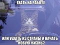 Светлана Гречухо_1